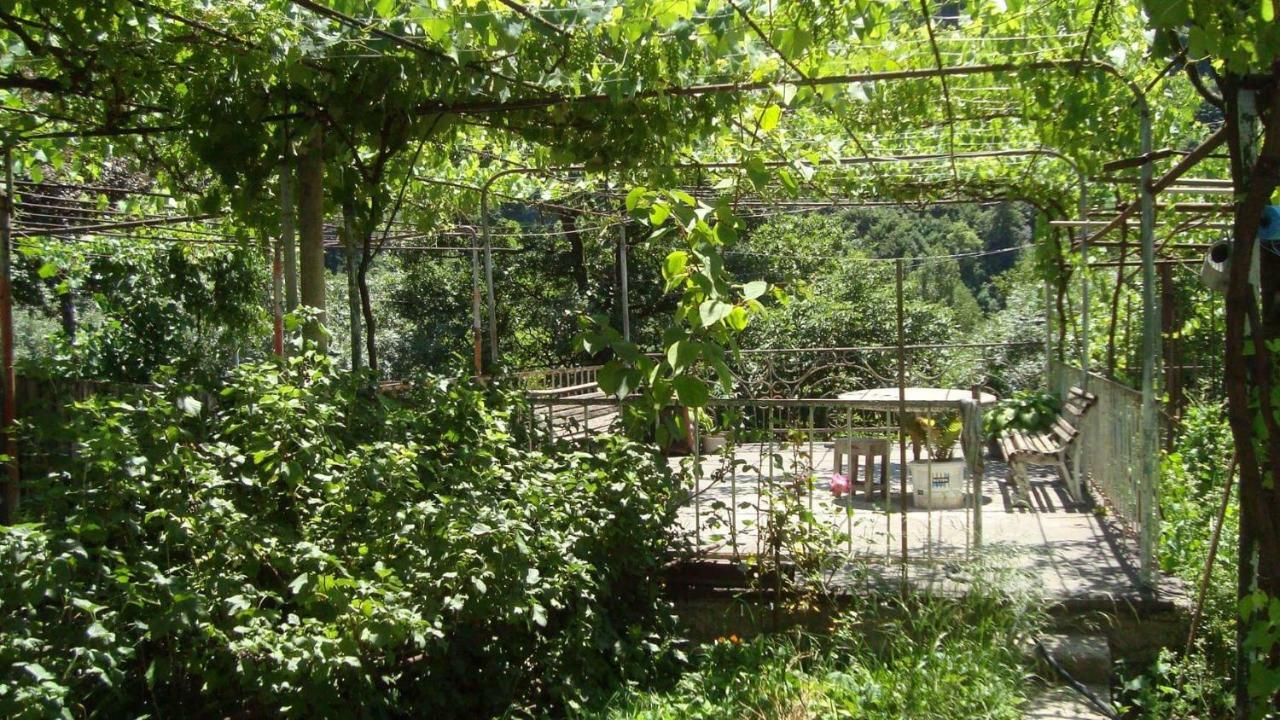 קאחתי Guesthouse Valeria מראה חיצוני תמונה